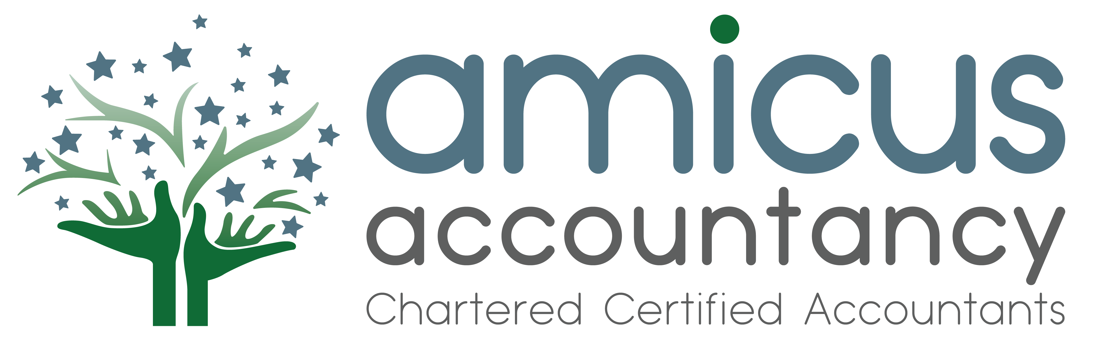 Amicus Accountancy